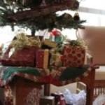Parný čistič ako darček pod vianočný stromček